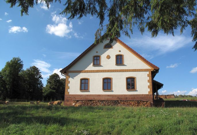 Bild 8