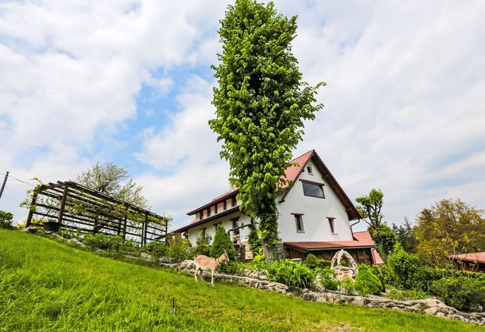 Bild 11
