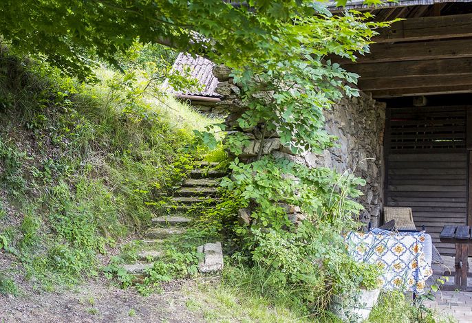 Bild 15