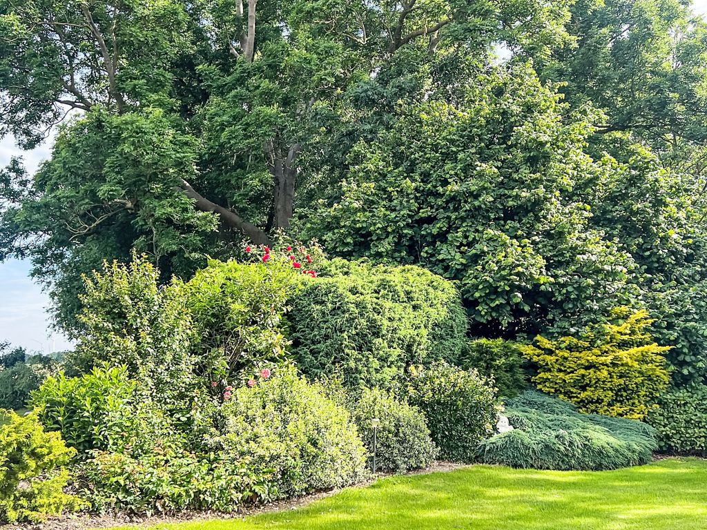 Studio Appartement Gartenblick