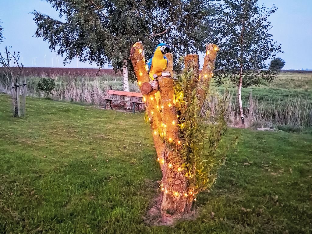 Sonnige Ferienwohnung in ländlicher Umgebung