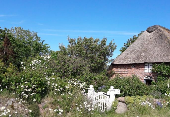 Fewo Meeresbrise – Foto 3