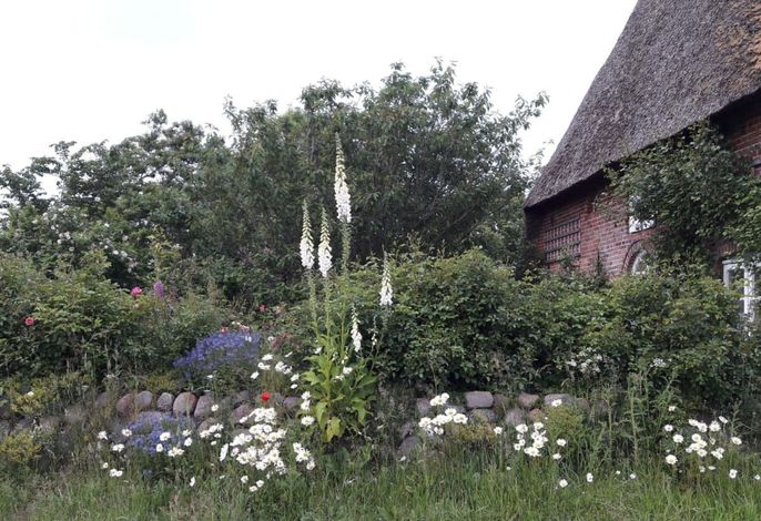 Fewo Meeresbrise – Foto 2