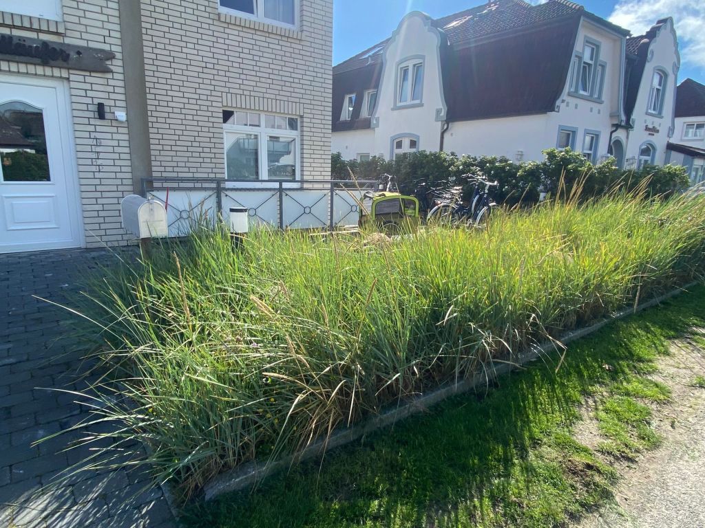 Helle Ferienwohnung mit sonniger Terrasse
