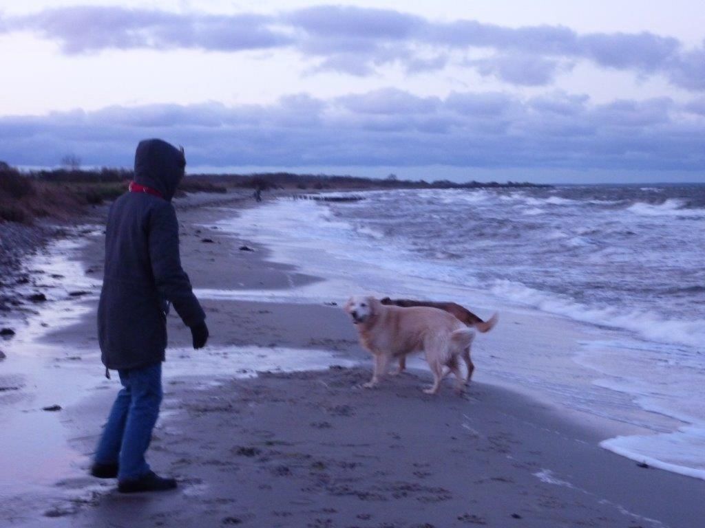 Dänemark in Gelting