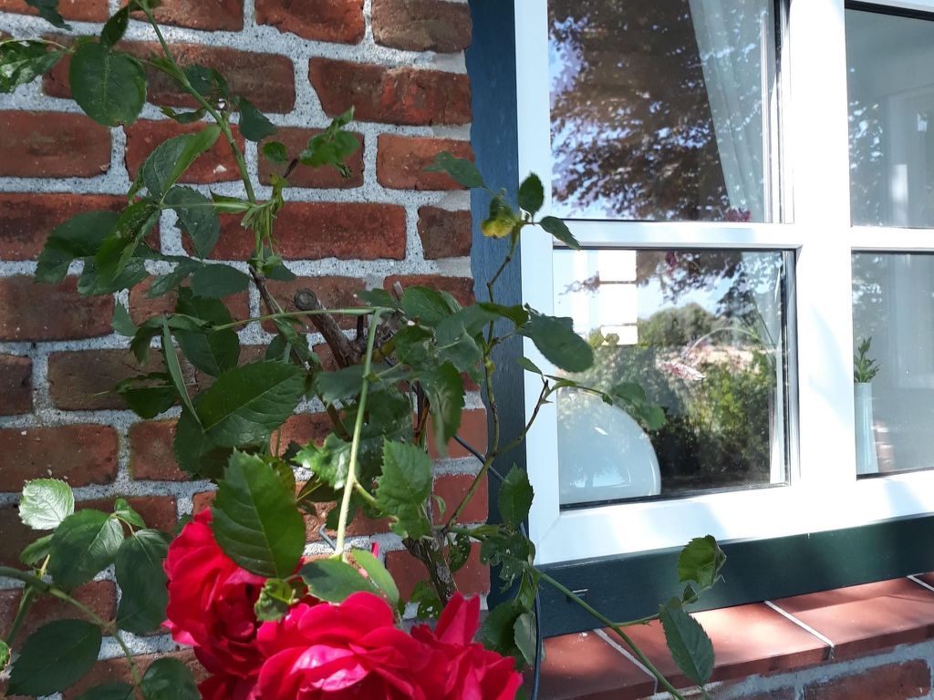 Land-Ferienhaus