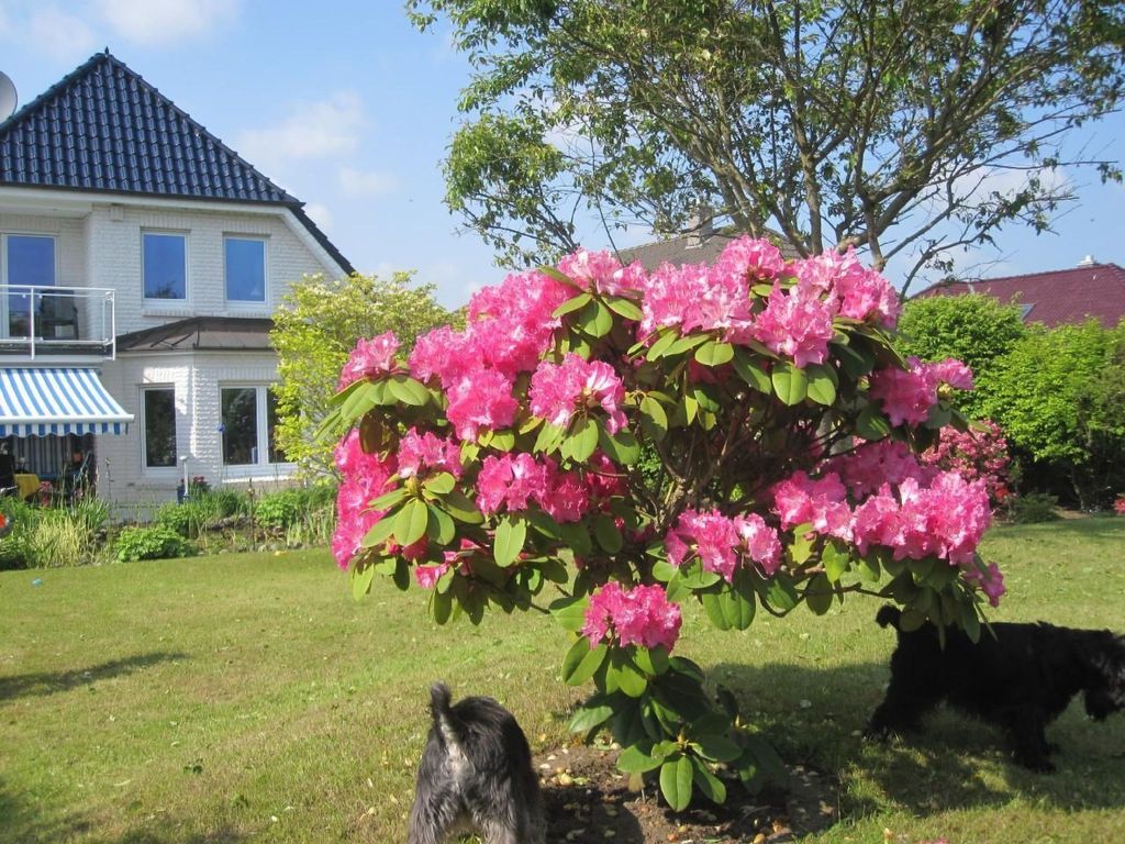 Landhaus am See