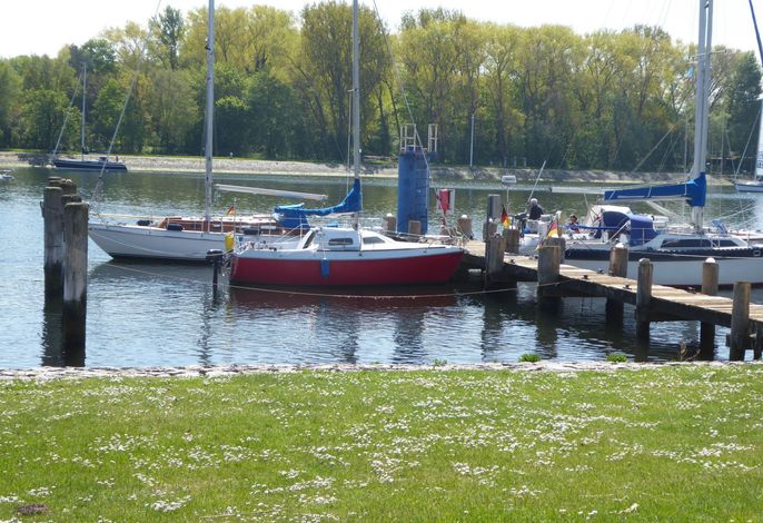 Bild 19