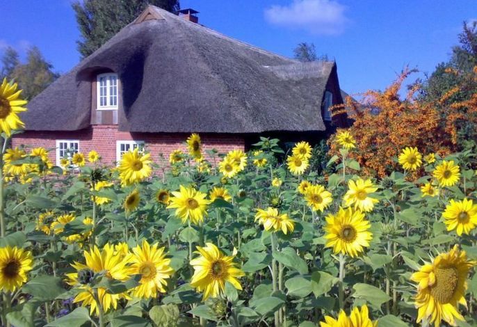 Finkenbusch – Foto 1