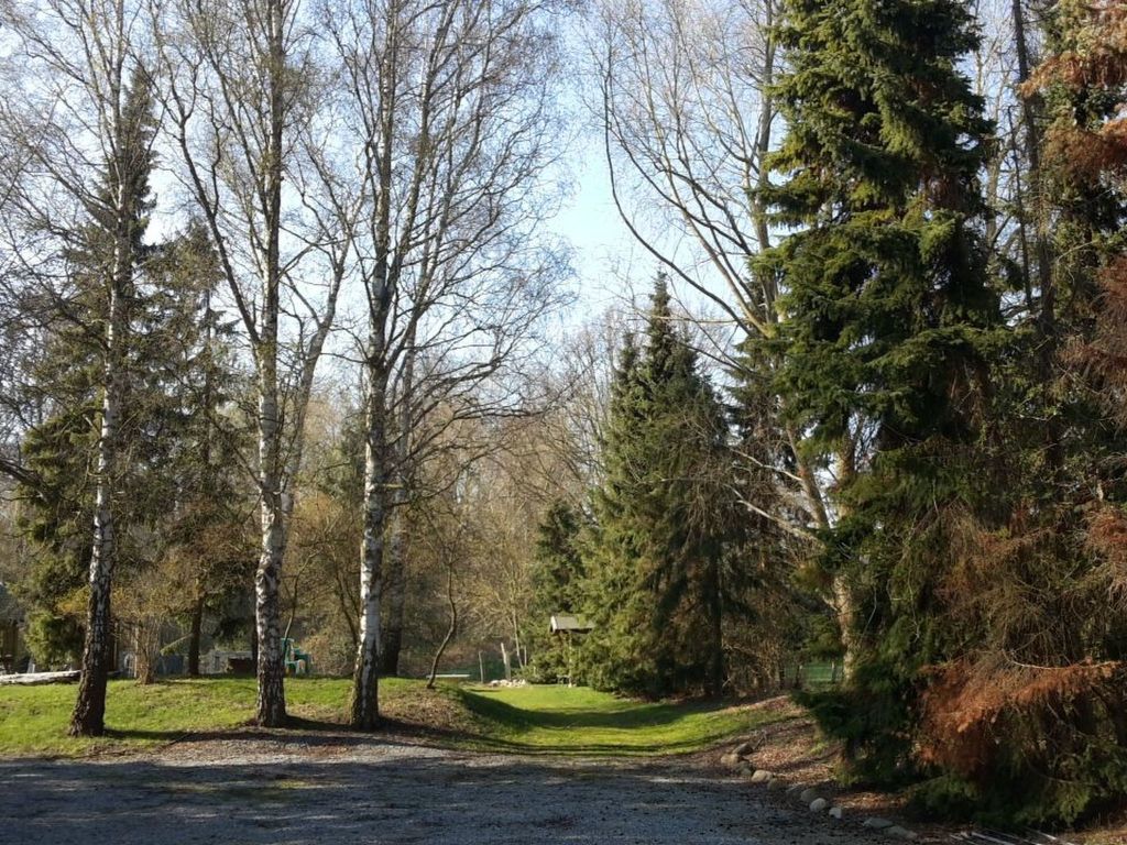 Fewo Waldblick