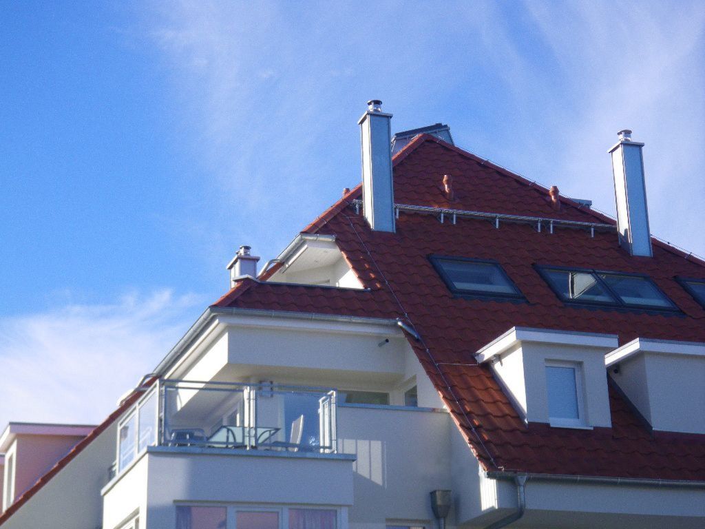 Seestern41