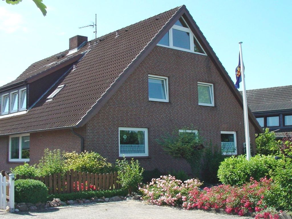 Zwergmöwe in Neue Tiefe