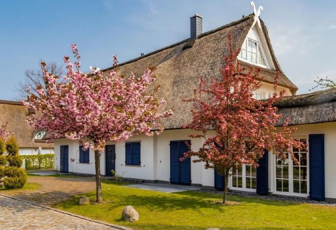 in Groß Schwansee mit Offenem Kamin – Foto 1