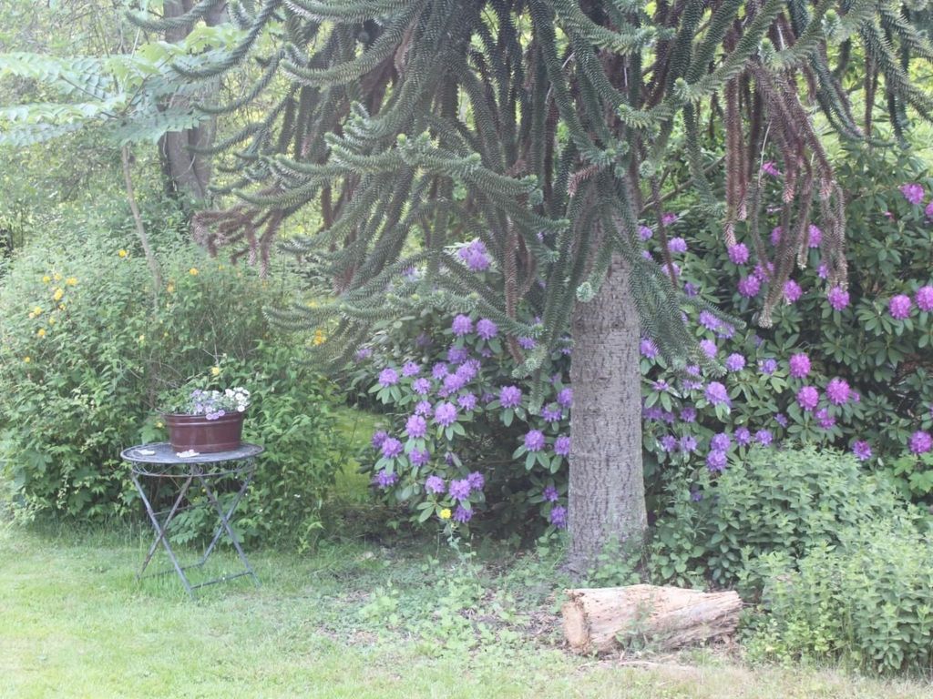 in Stollhamm mit Großem Garten