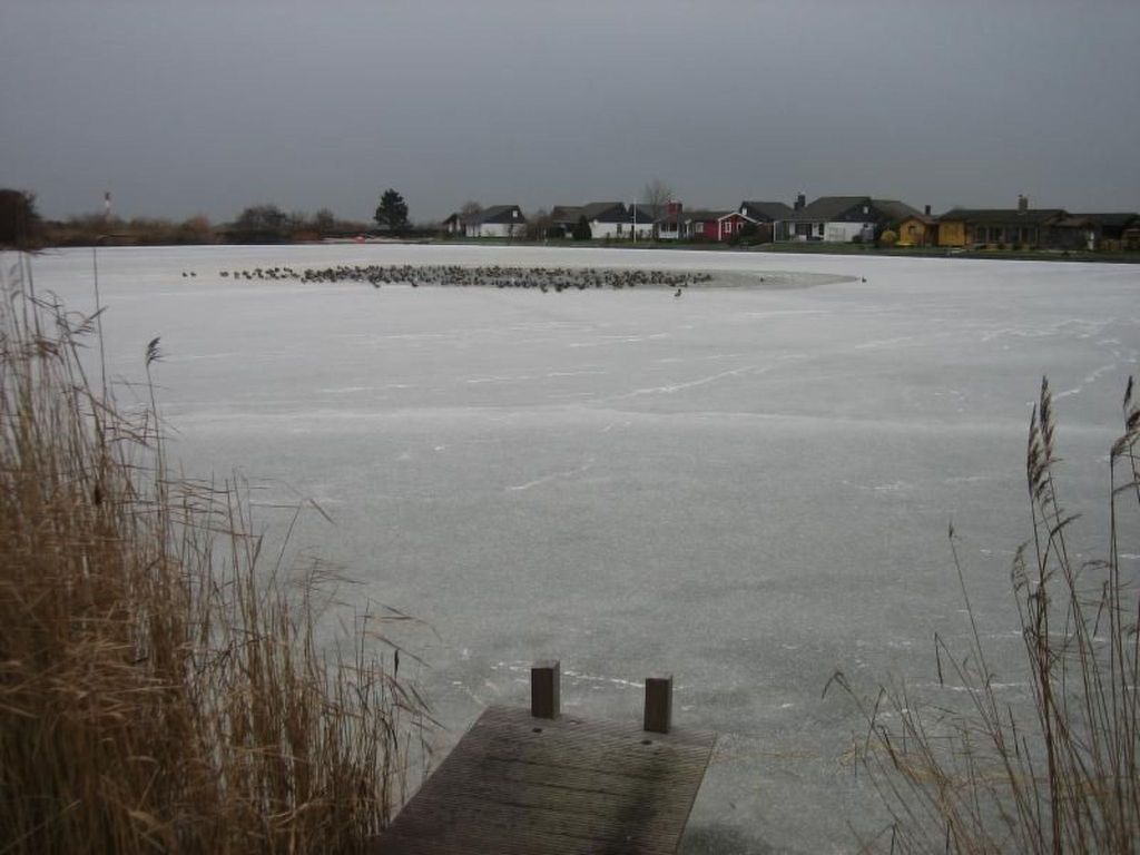 Eul in Butjadingen-Großwürden