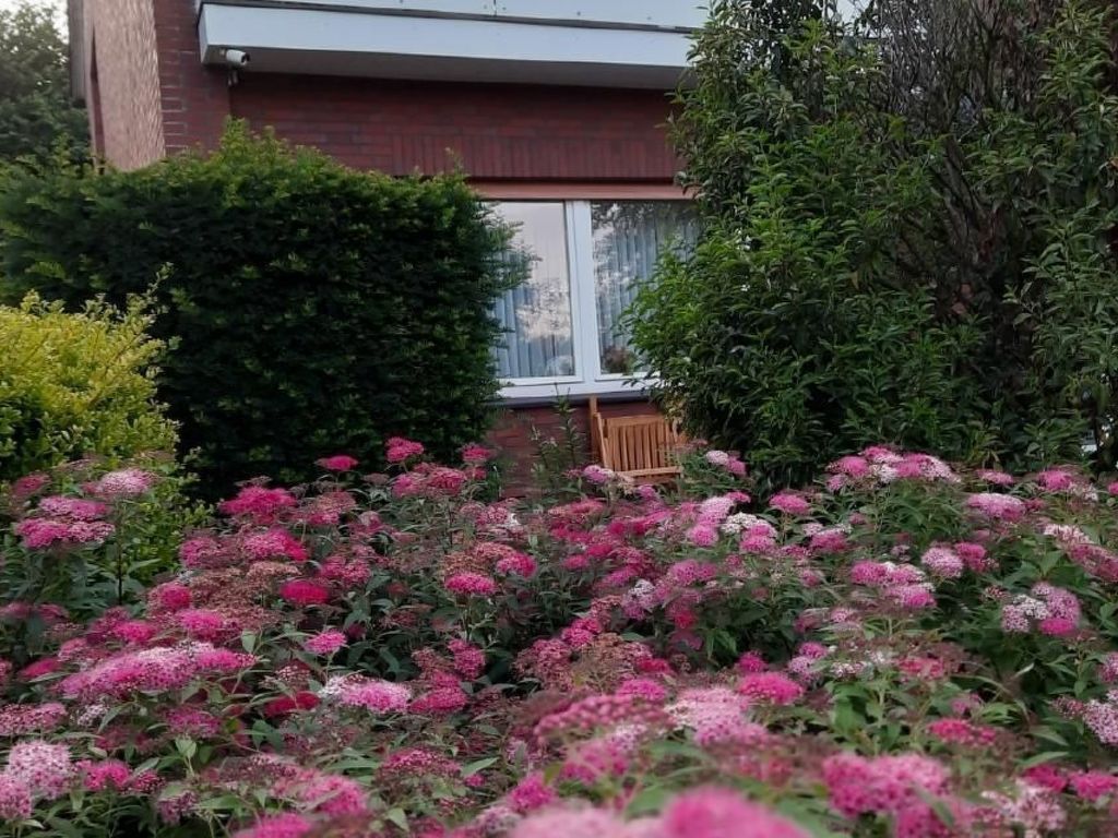FeWo mit Ausblick
