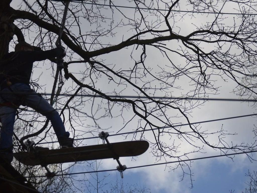 Storchennest