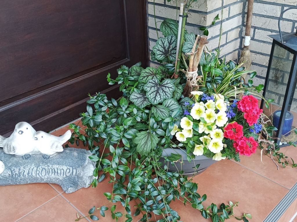 Zwei Finken in Wiesmoor