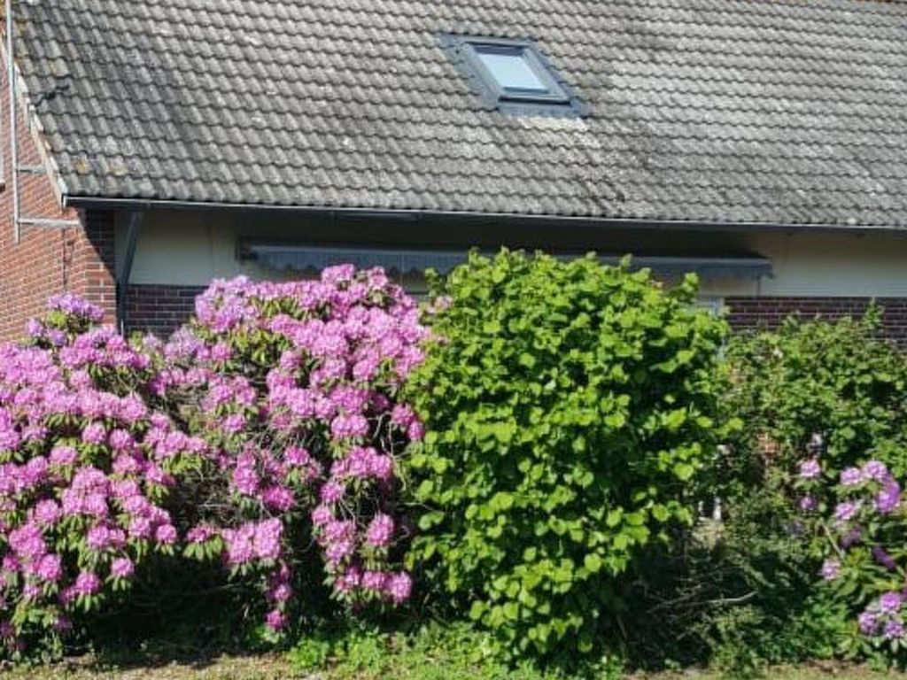 Jadeglück