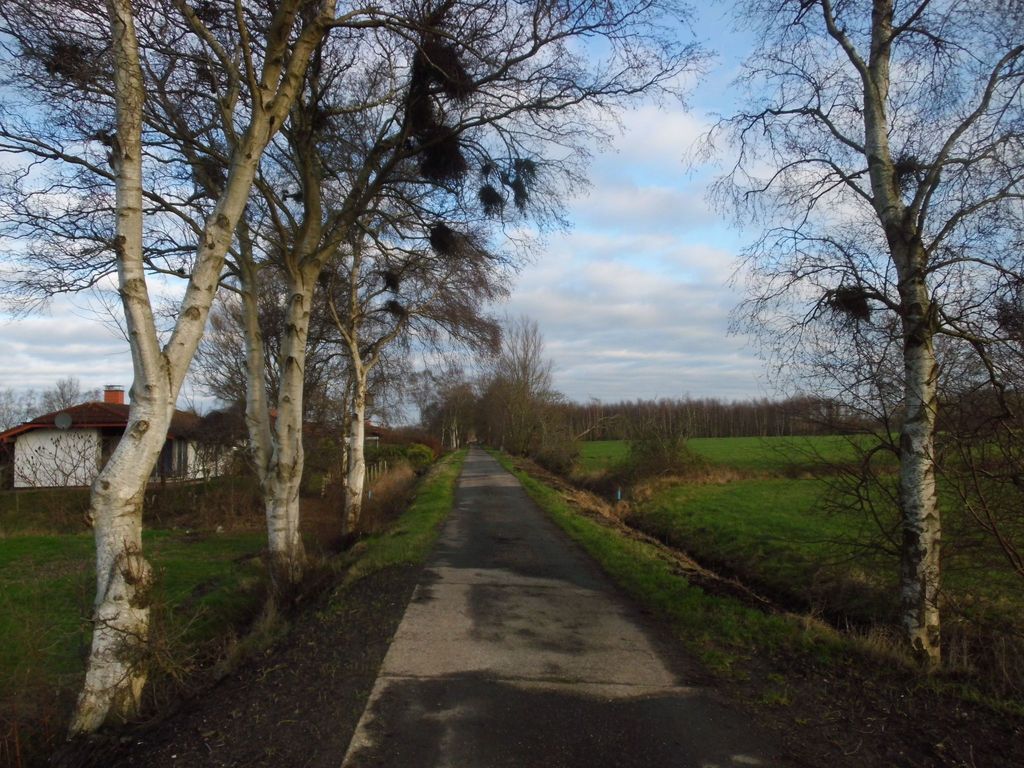 in Sehestedt mit Garten