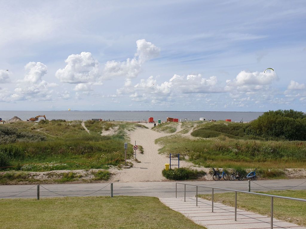 Seestern