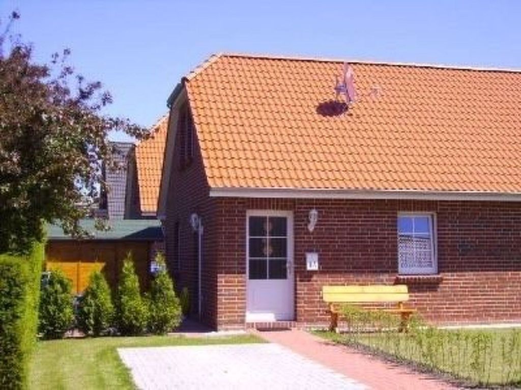 Seerobbe in Norden