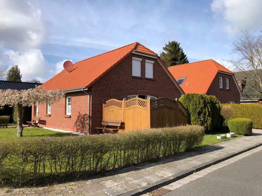 Seerobbe in Norden