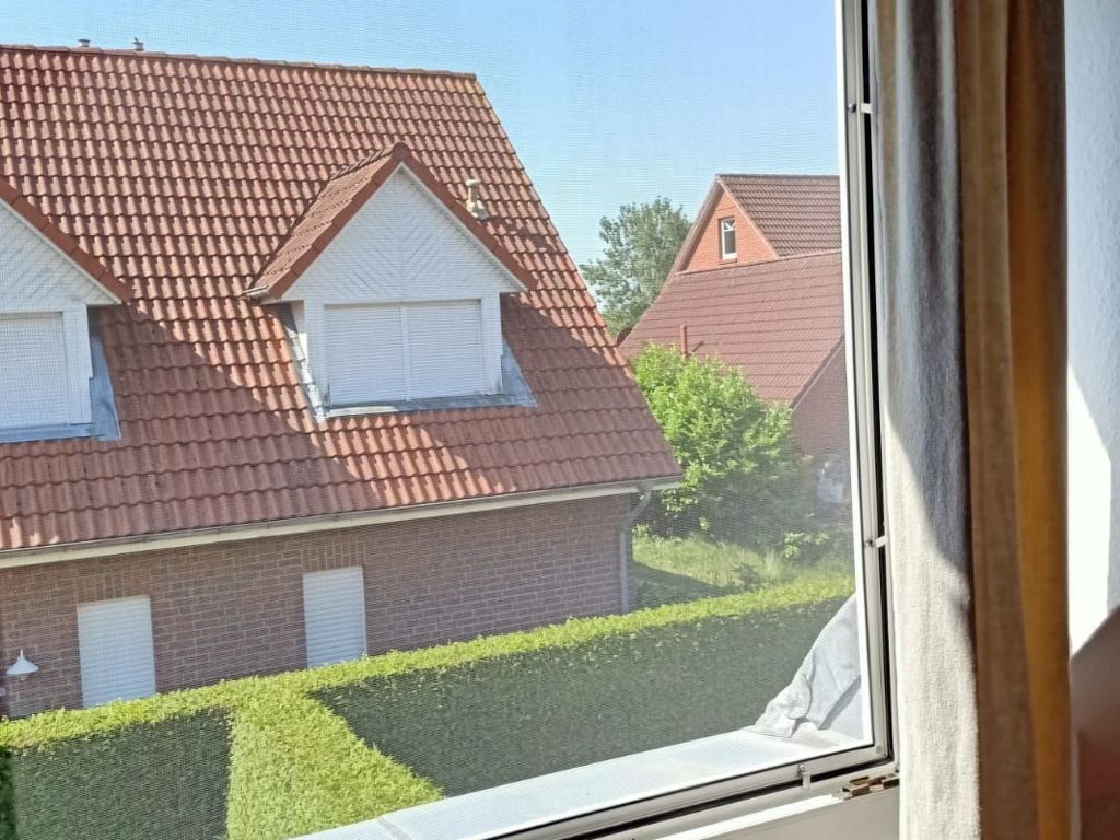 Buddecke