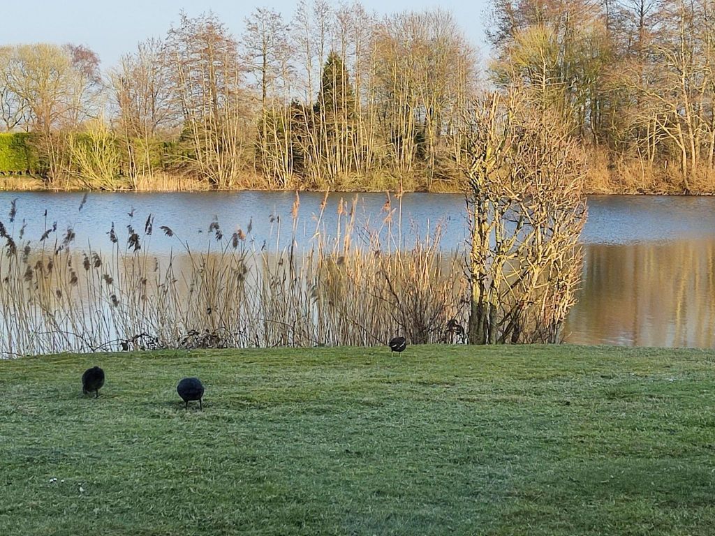 Landromantik mit traumhaftem Seeblick