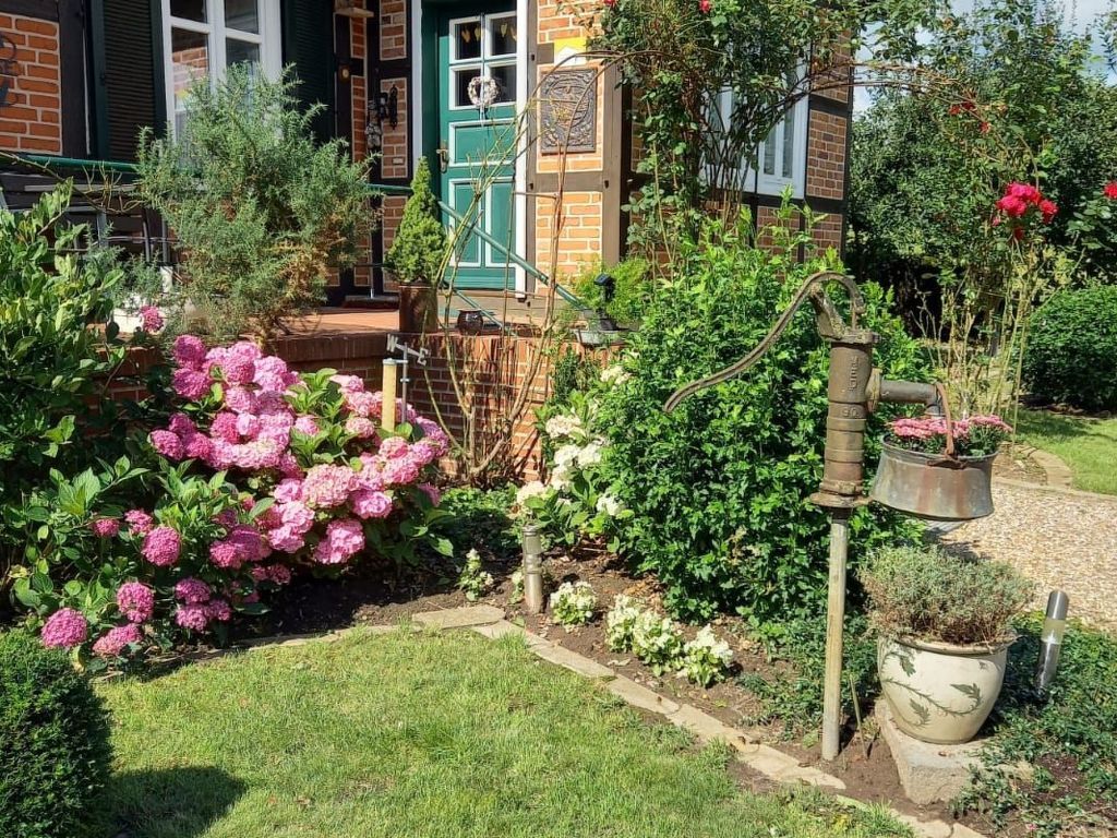 Haus Elbrose inmitten von Rosen mit Elbdeichzugang
