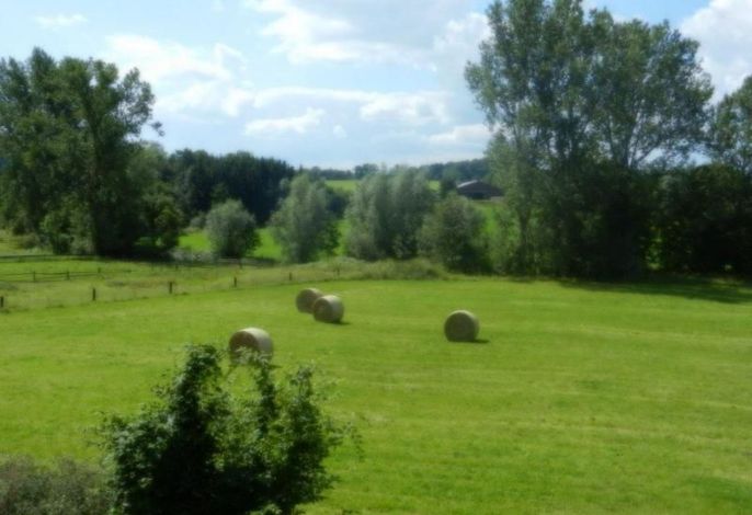 Bild 18
