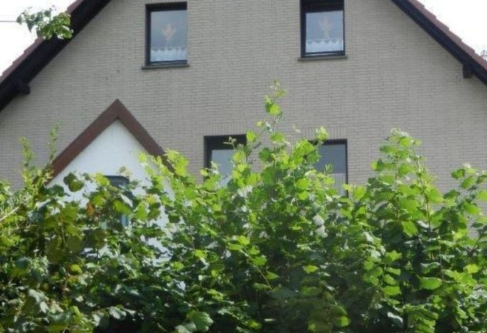 Bild 19