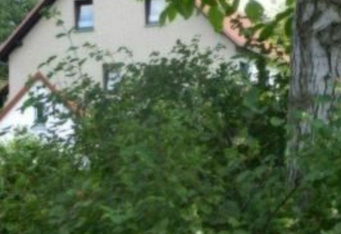 Preiser in Schieder-Schwalenberg