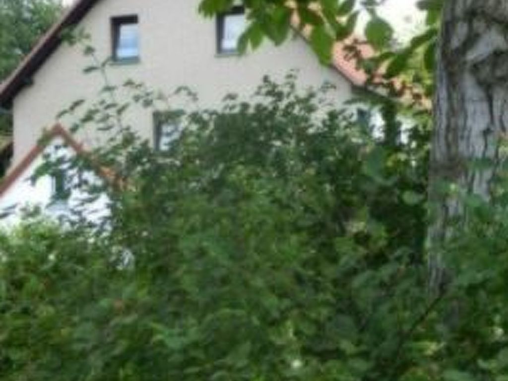 Preiser in Schieder-Schwalenberg