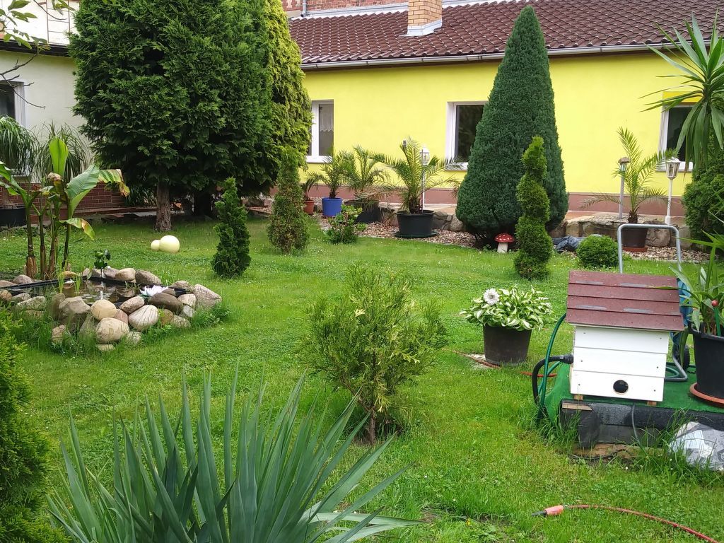Gemütliche Wohnung mit Terrasse