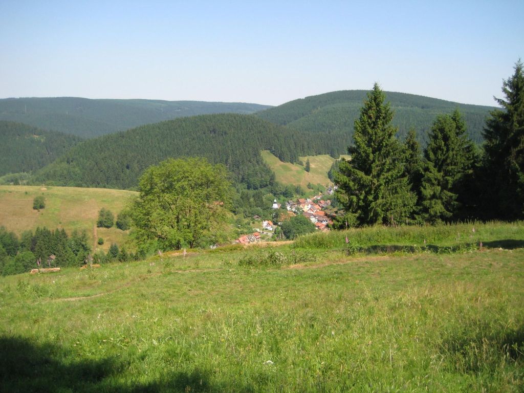 Einzigartiges Ferienhaus in Wildemann