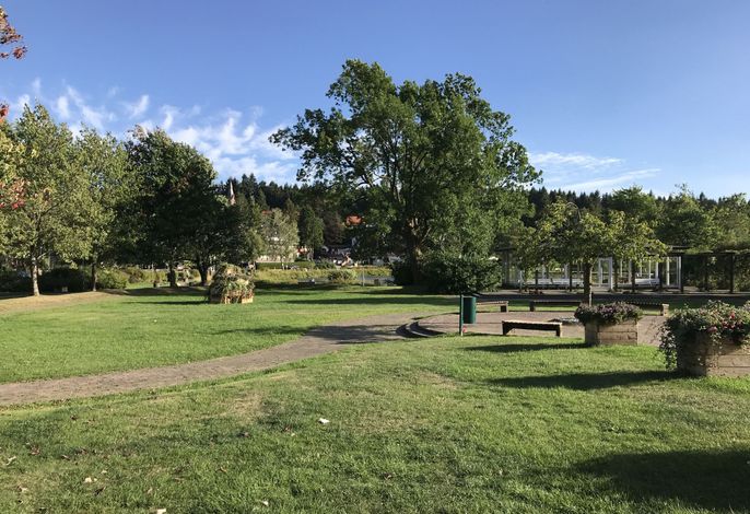 Sequoia – Foto 5