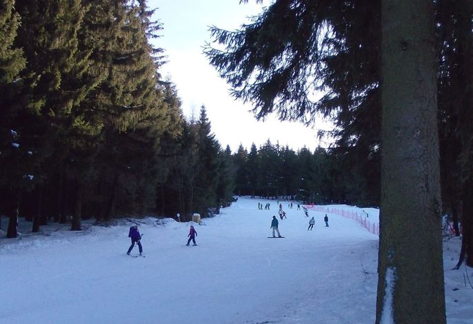 Bild 7