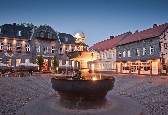 in Goslar mit Terrasse und Grill