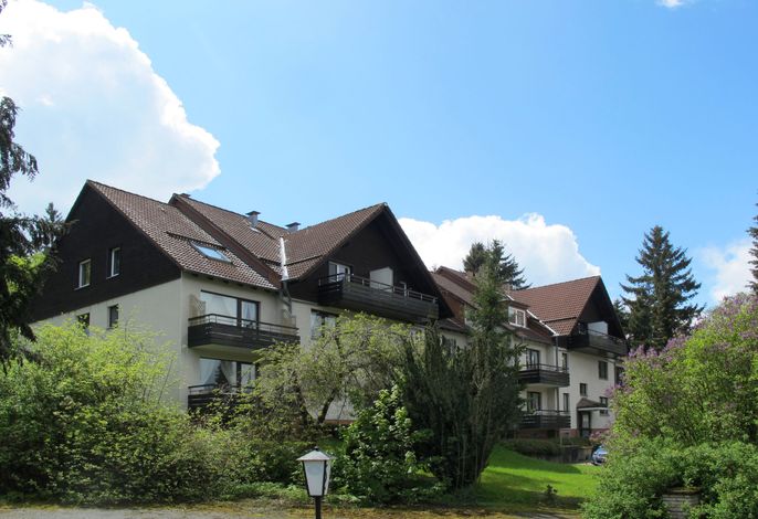 Waldoase – Foto 2