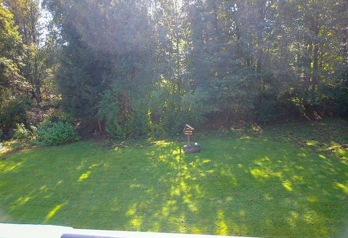 Waldoase – Foto 3