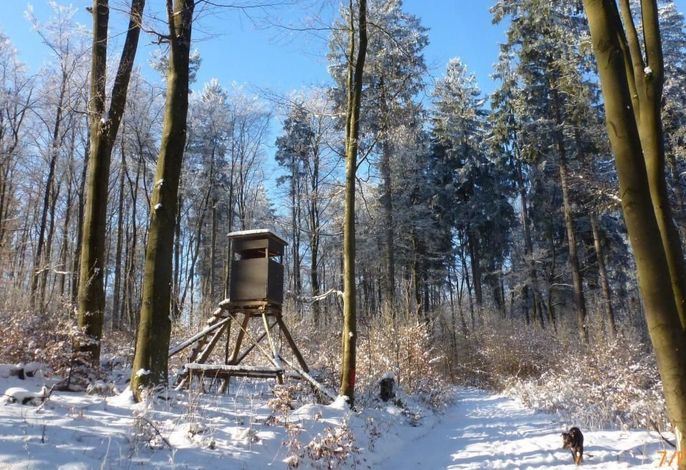 Bild 11