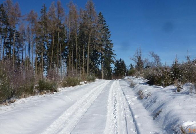 Bild 13