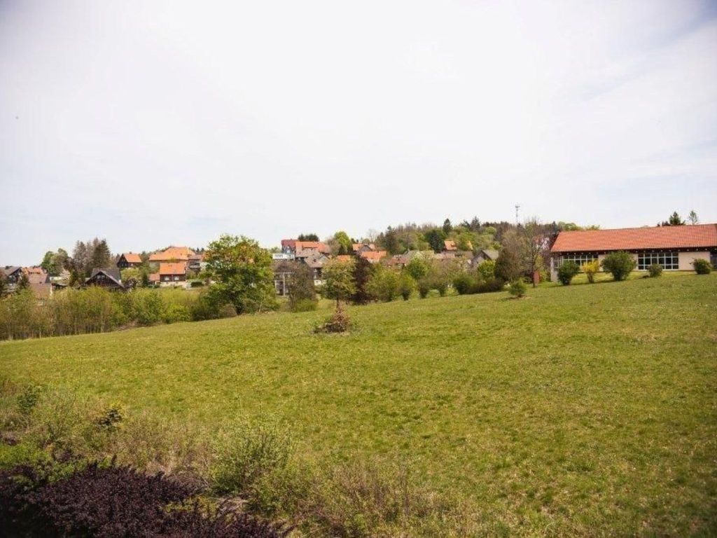 Harzgeiss