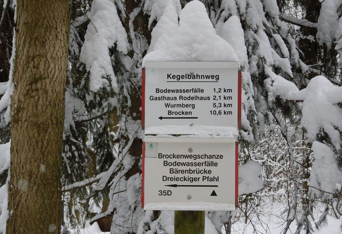 Bild 20