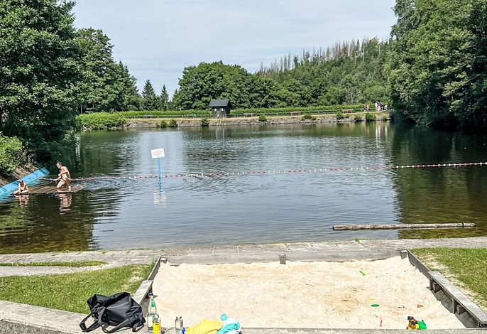 Salamanderwaldhaus – Foto 3