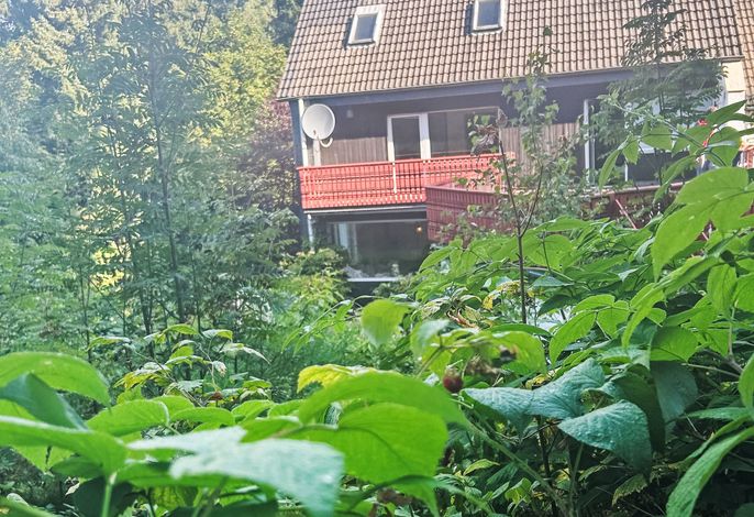 Salamanderwaldhaus – Foto 4