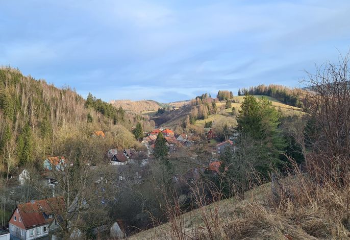 Bild 12