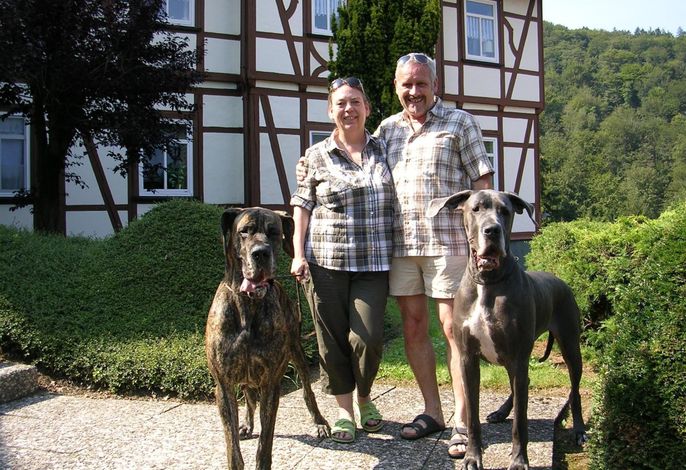 Bild 2