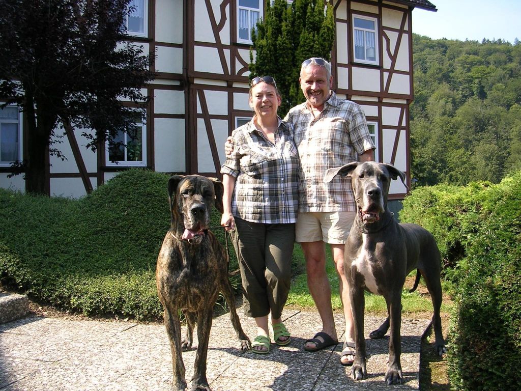 Der Falkenhorst
